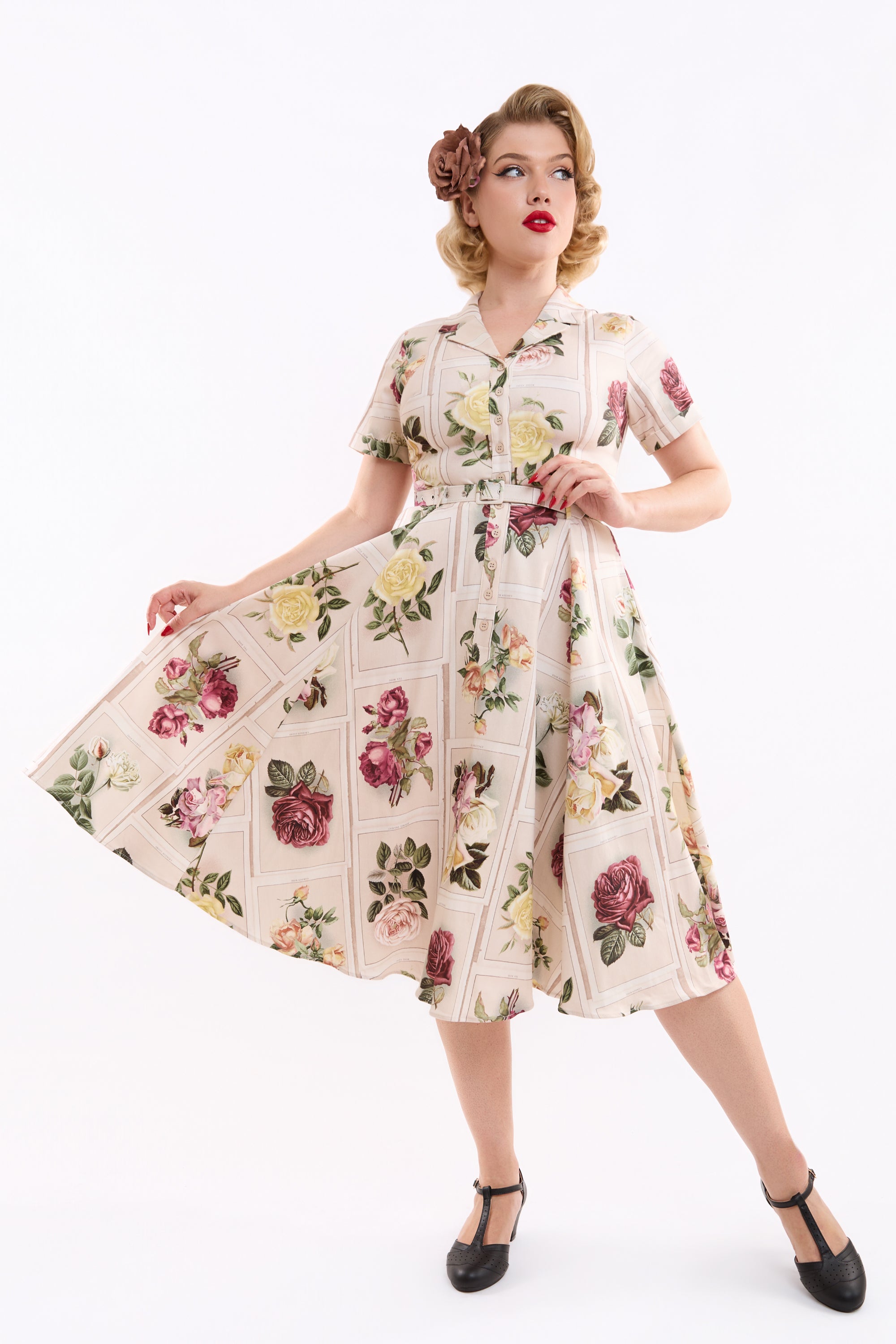 Caterina Framed Roses Swing Dress