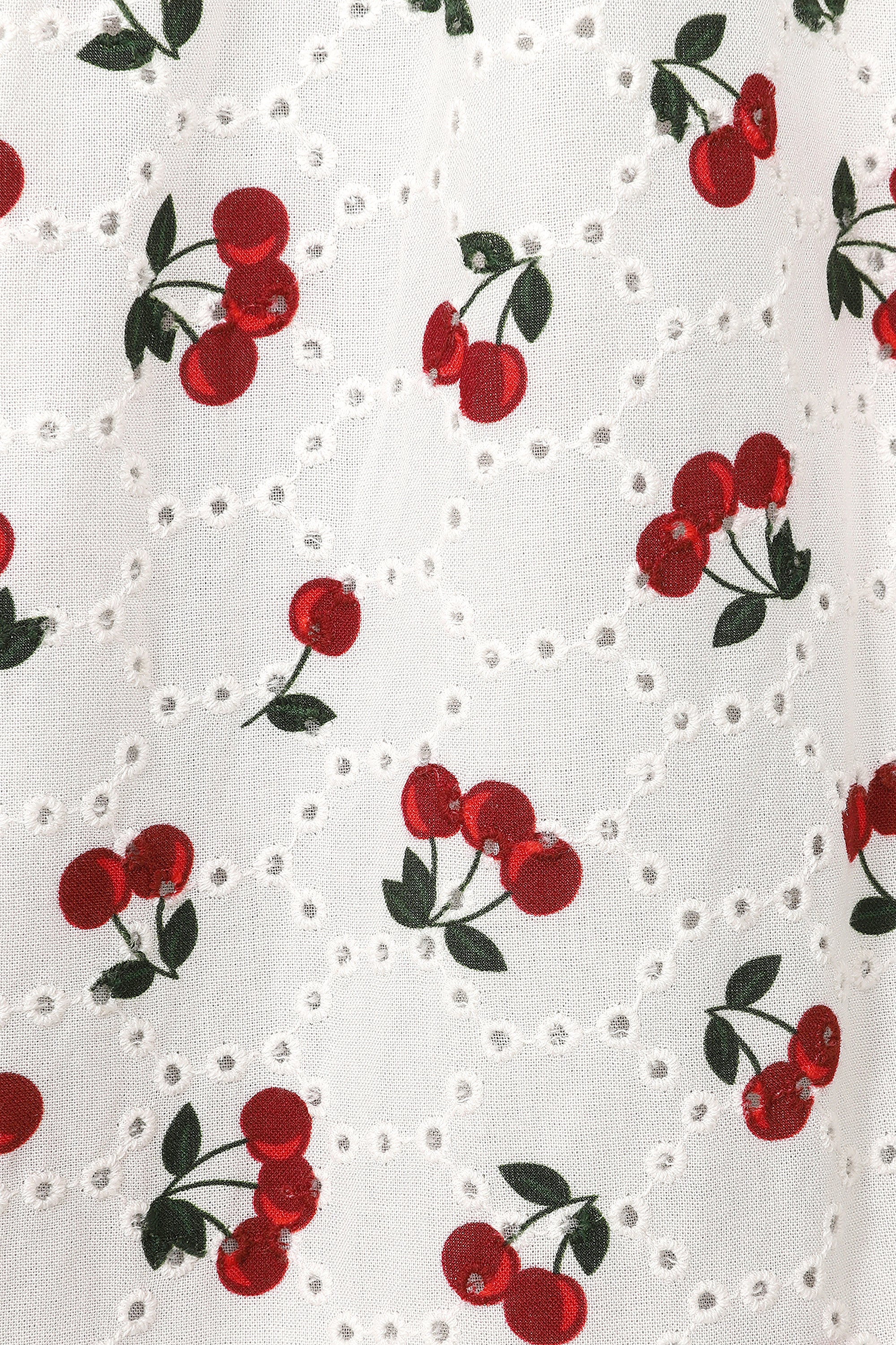 Honey Cherry Broderie Flared Dress