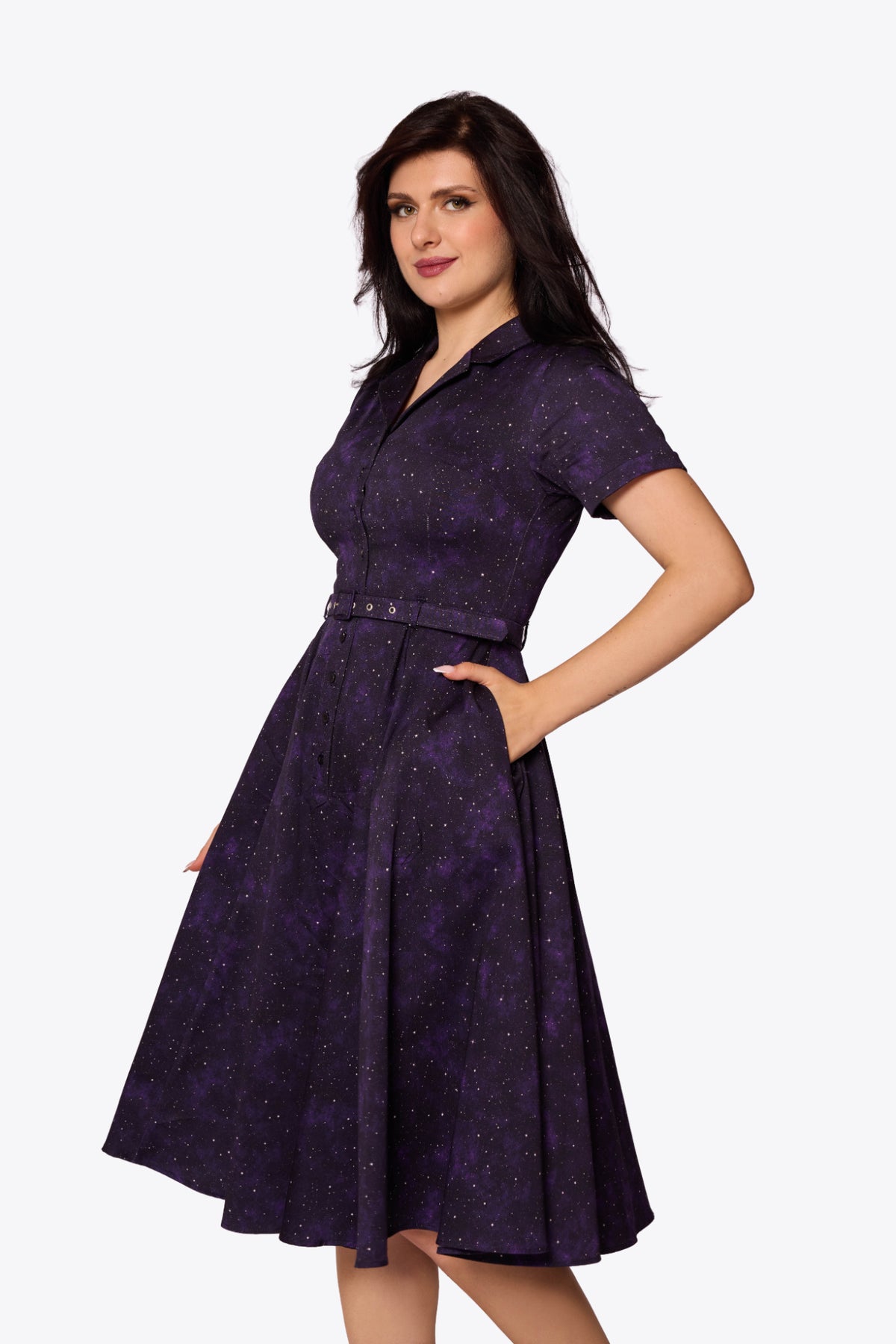 Caterina Amethyst Stardust Swing Dress