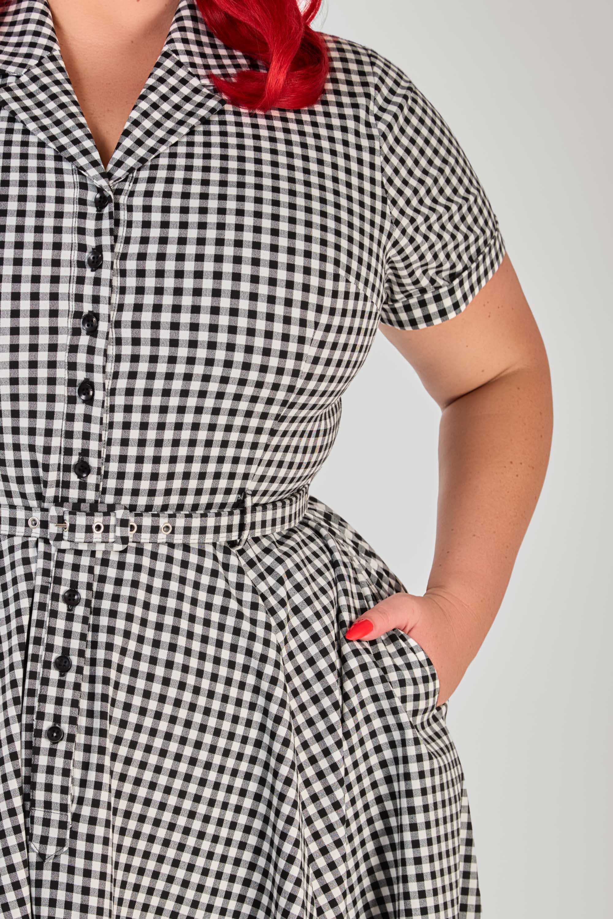 Caterina Gingham Swing Dress