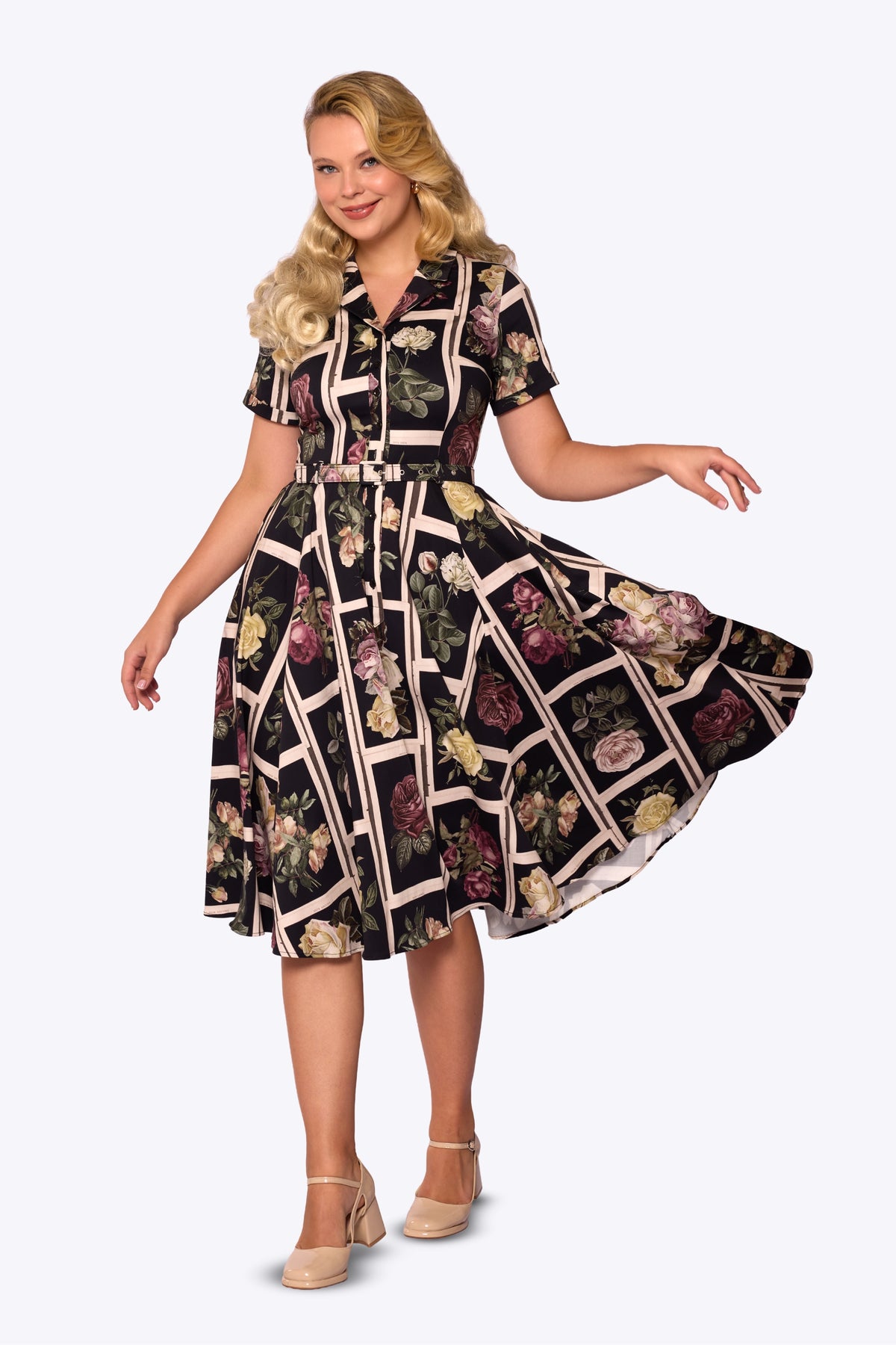 Caterina Framed Roses Black Swing Dress