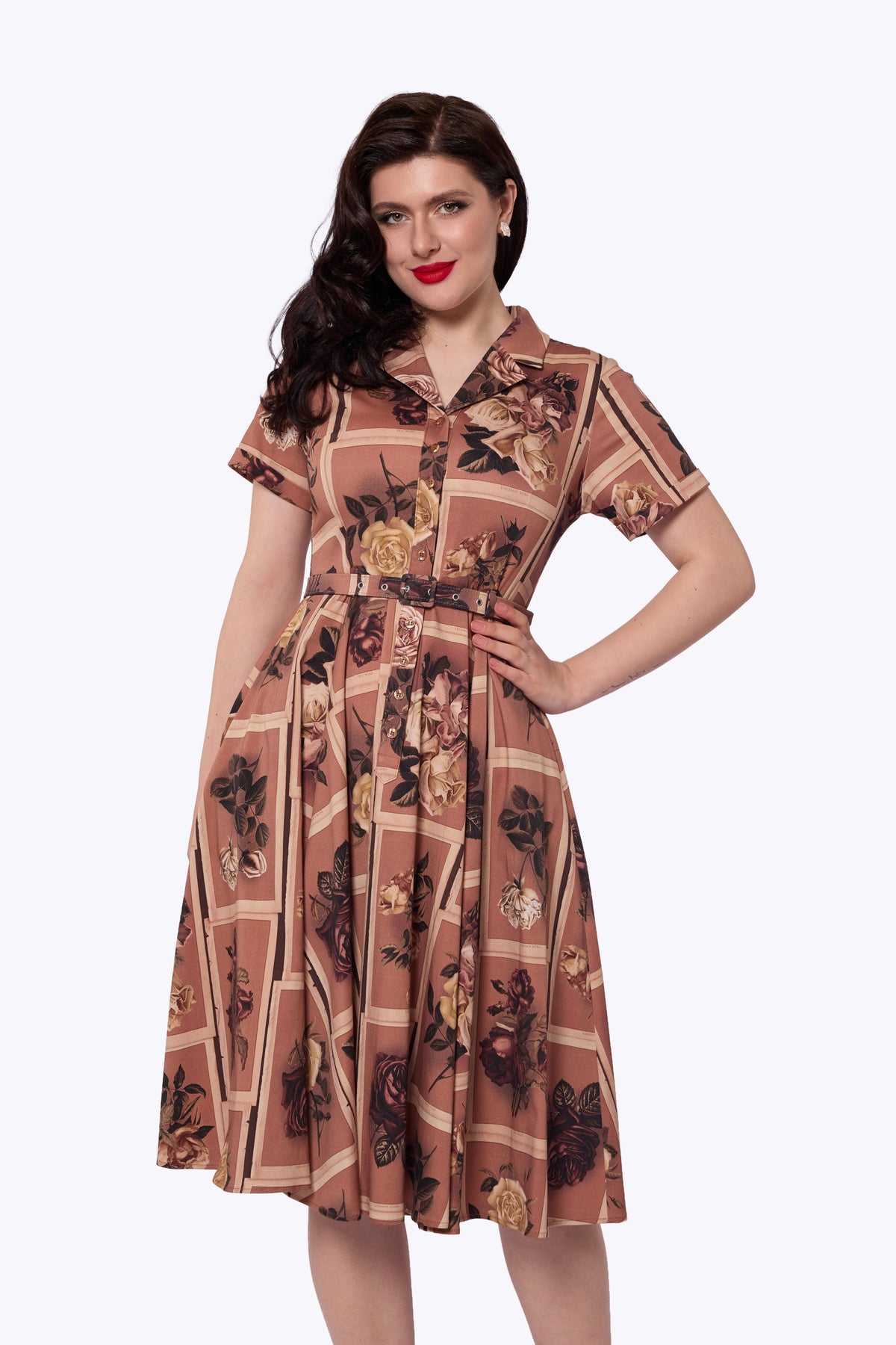Caterina Framed Roses Mink Swing Dress