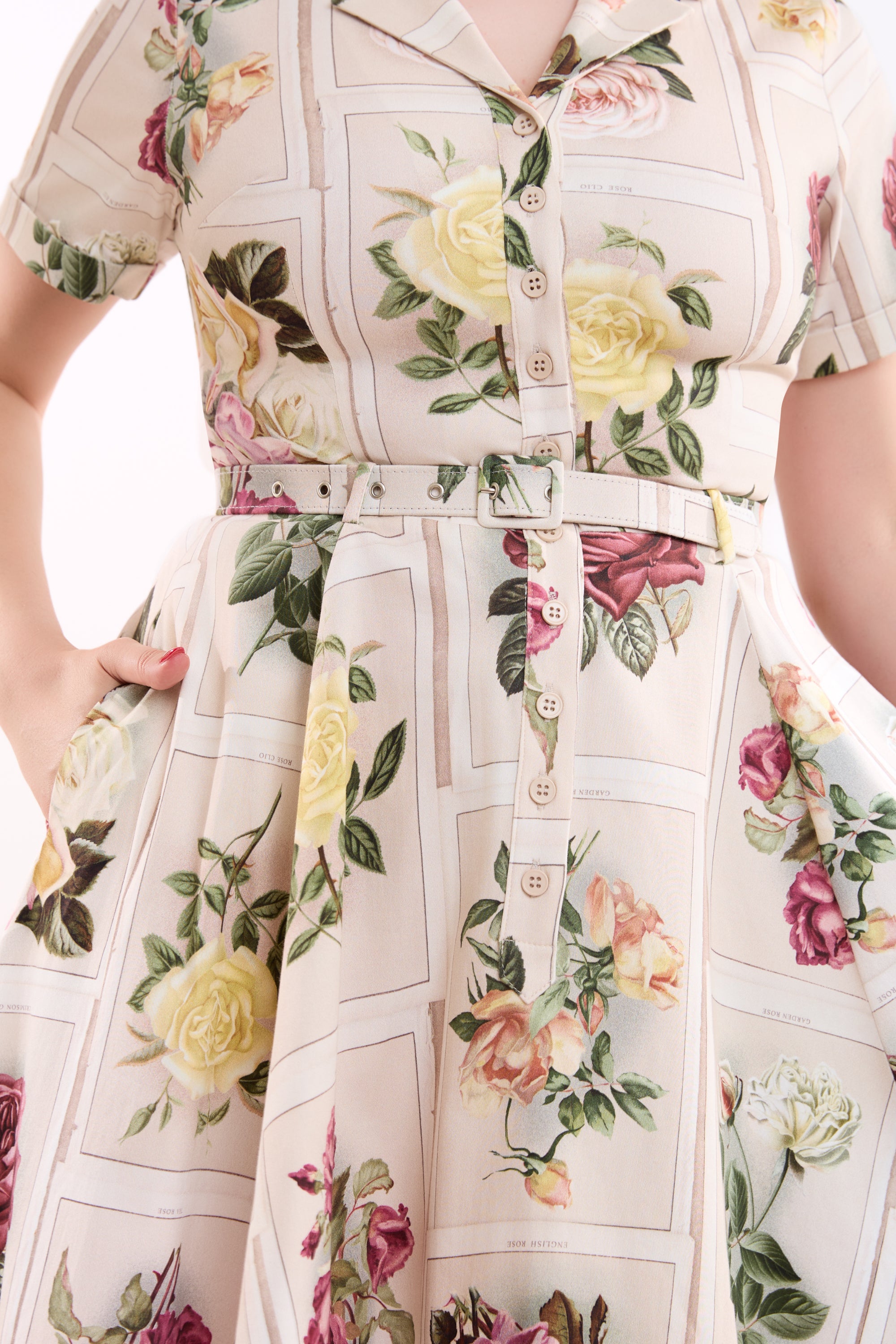 Caterina Framed Roses Swing Dress