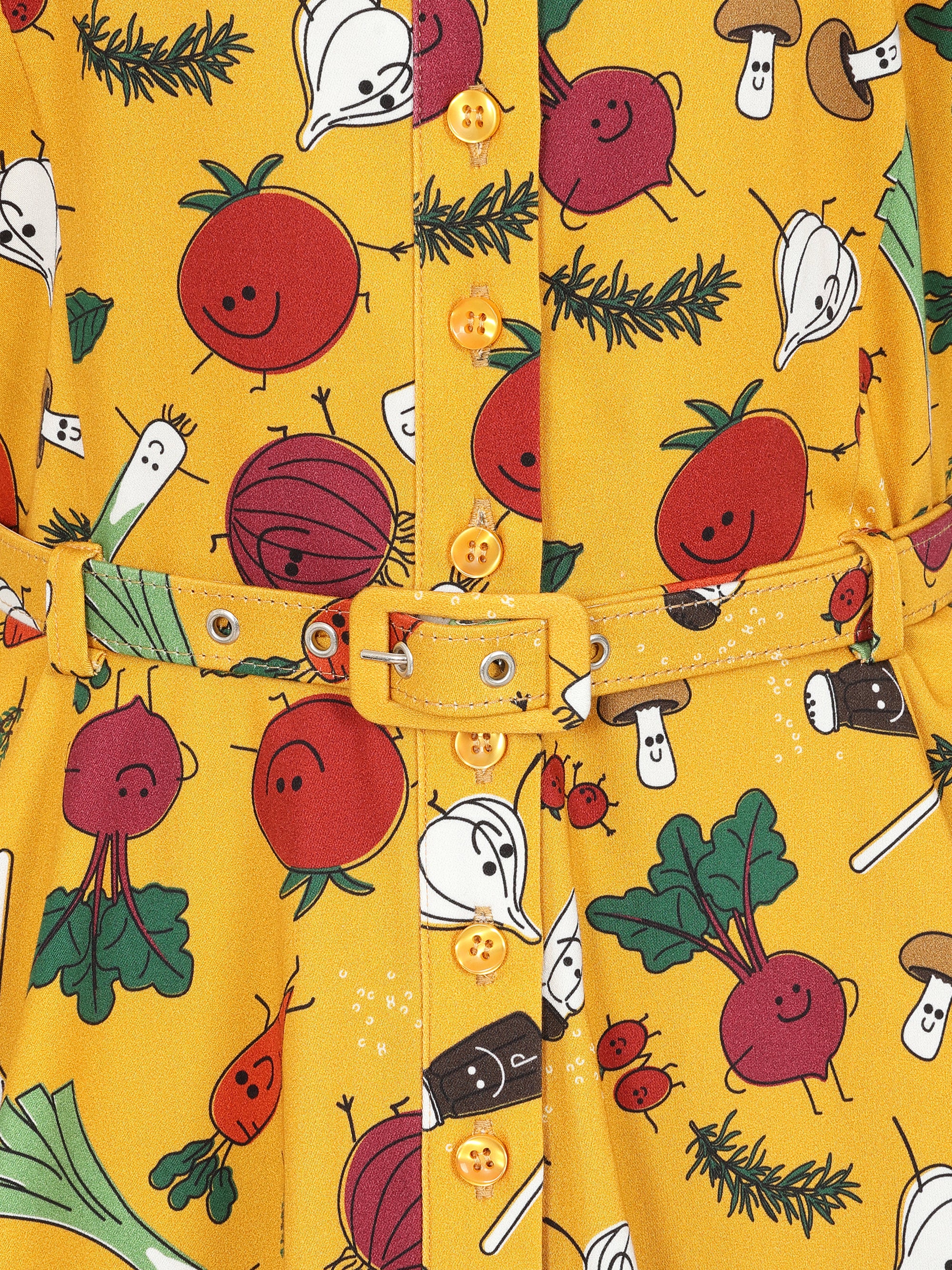 Caterina Veggie Party Swing Dress