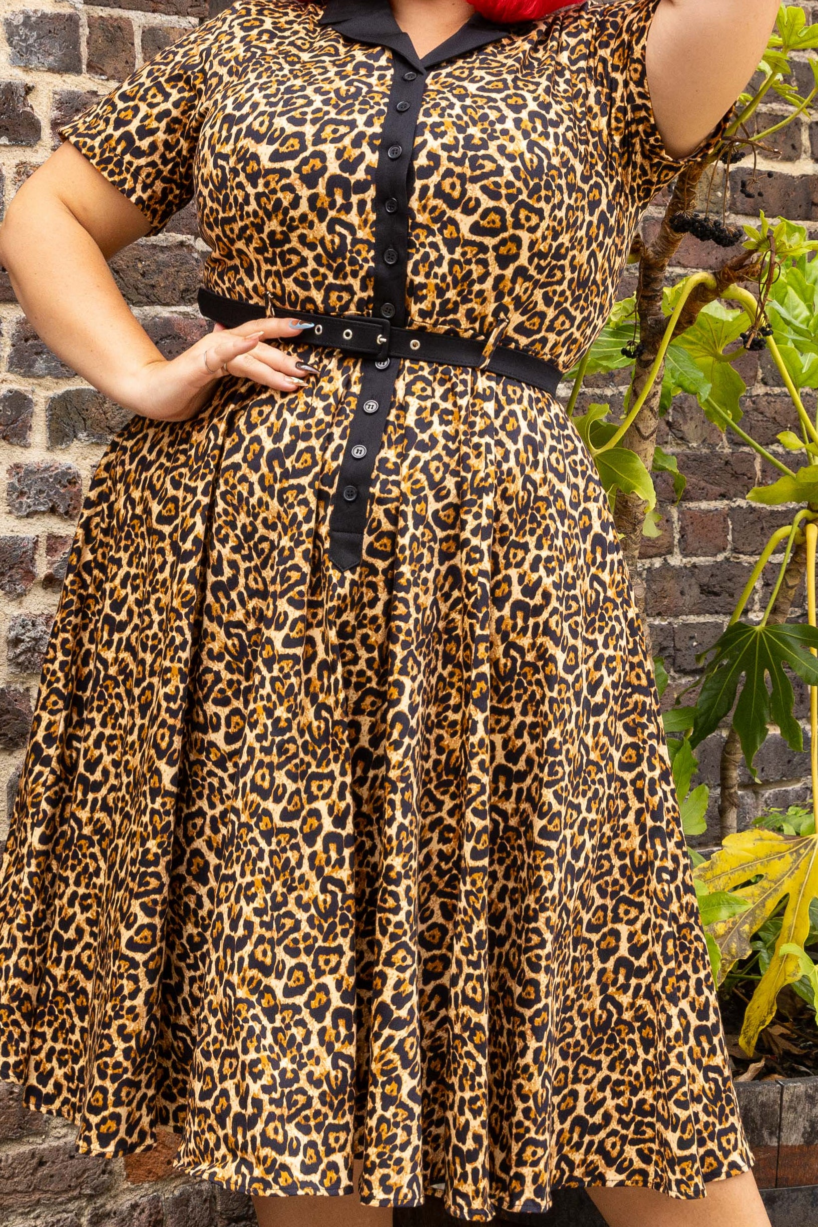 Caterina Leopard Swing Dress
