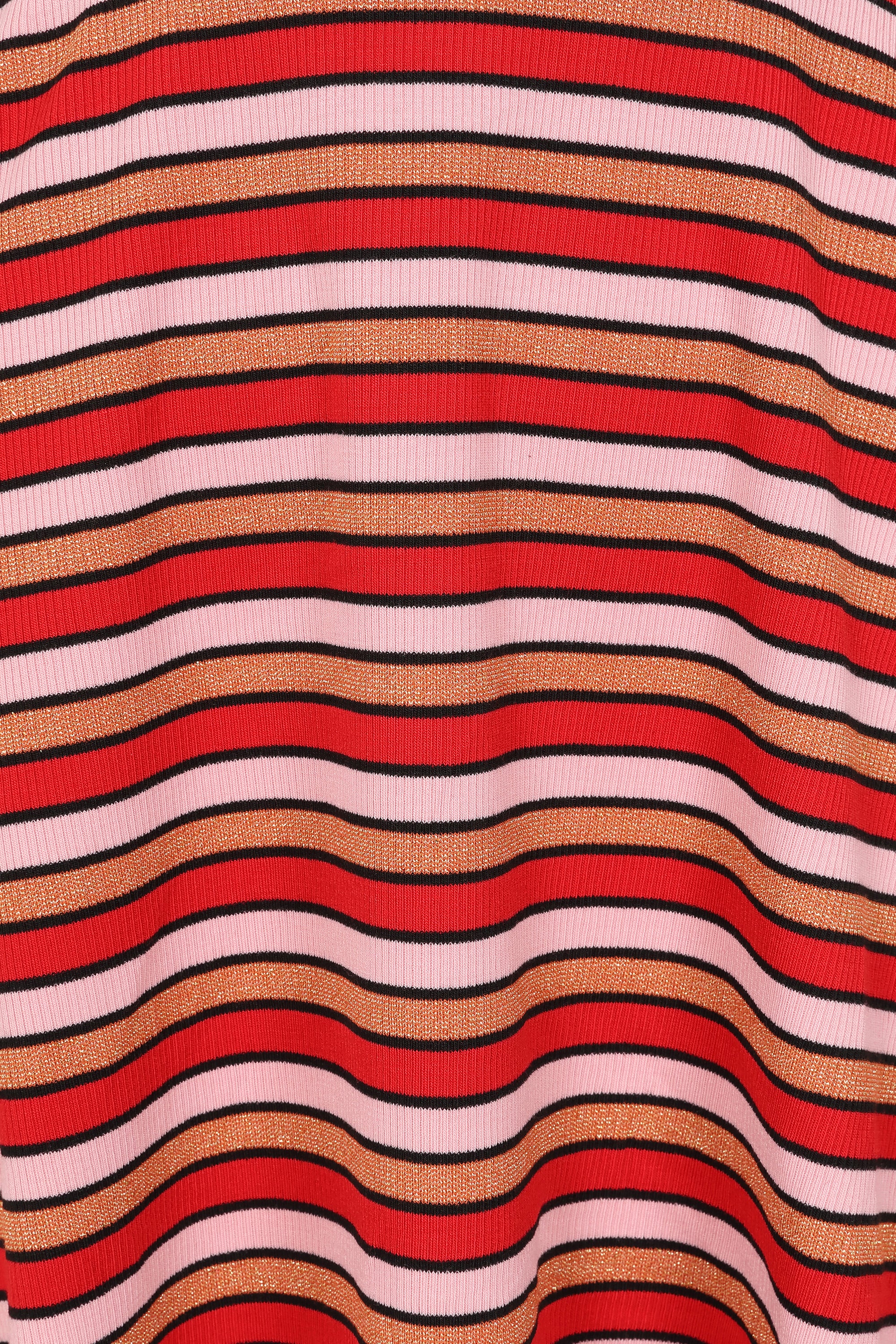 Mara Stripe Skater Skirt