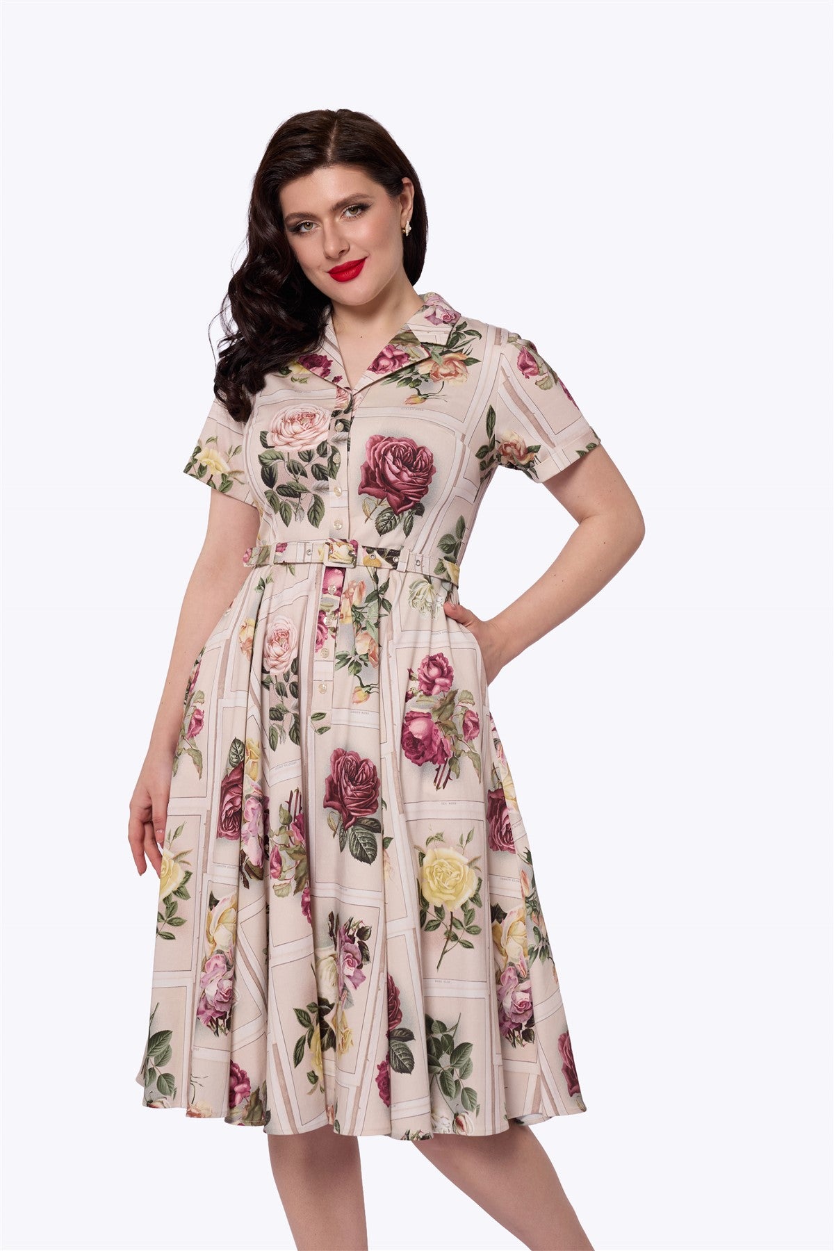 Caterina Framed Roses Swing Dress