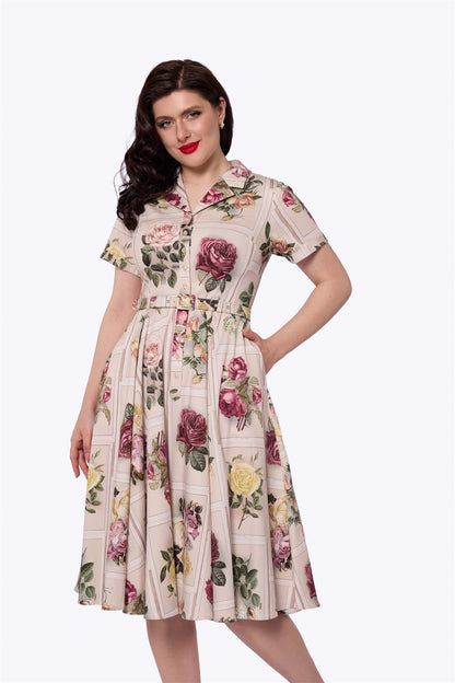 Caterina Framed Roses Swing Dress