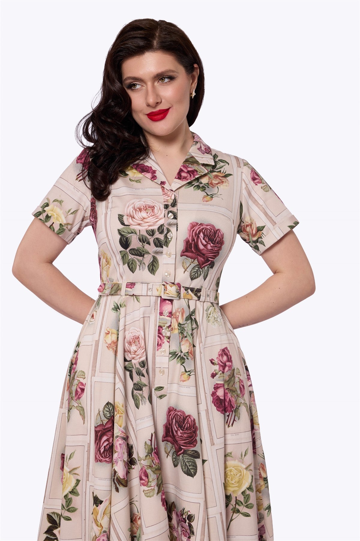 Caterina Framed Roses Swing Dress