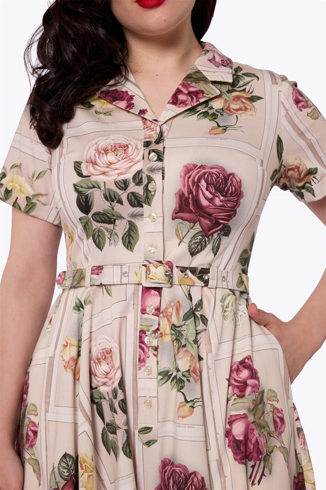 Caterina Framed Roses Swing Dress
