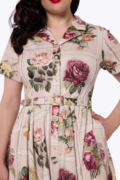 Caterina Framed Roses Swing Dress