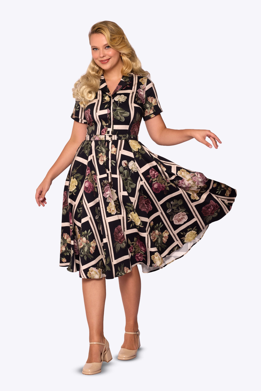 Caterina Framed Roses Black Swing Dress