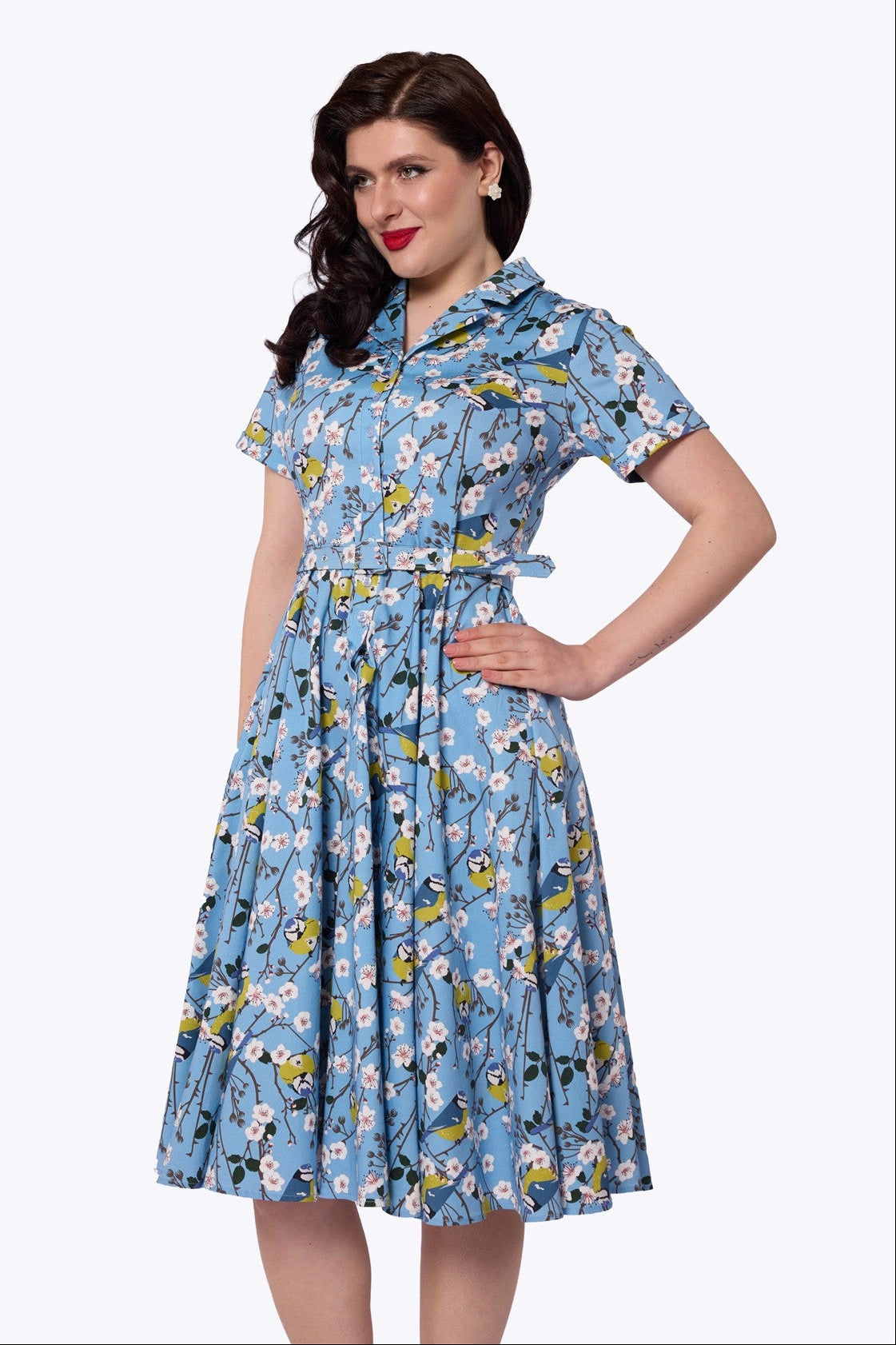 Caterina Blossom Swing Dress