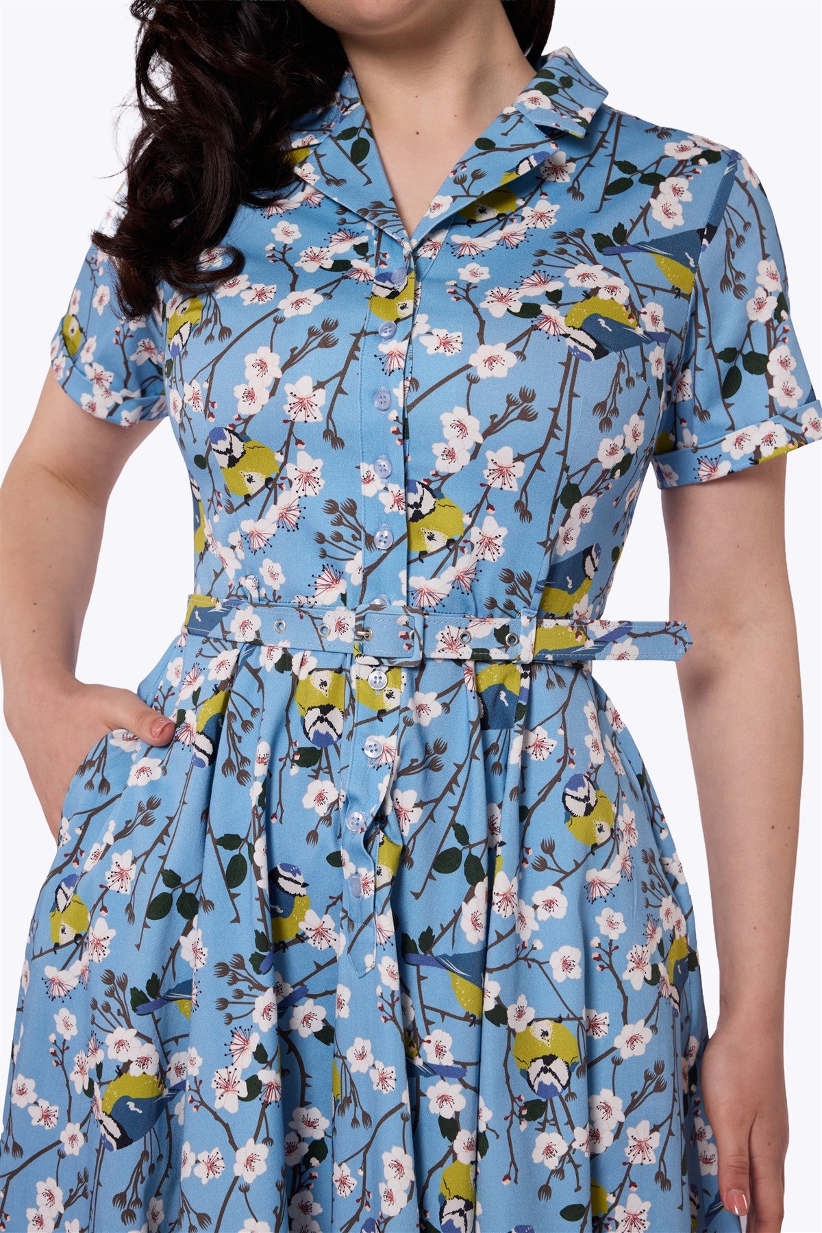 Caterina Blossom Swing Dress