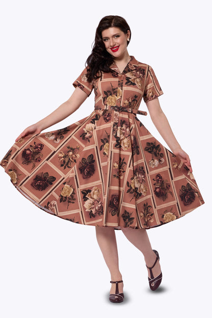 Caterina Framed Roses Mink Swing Dress