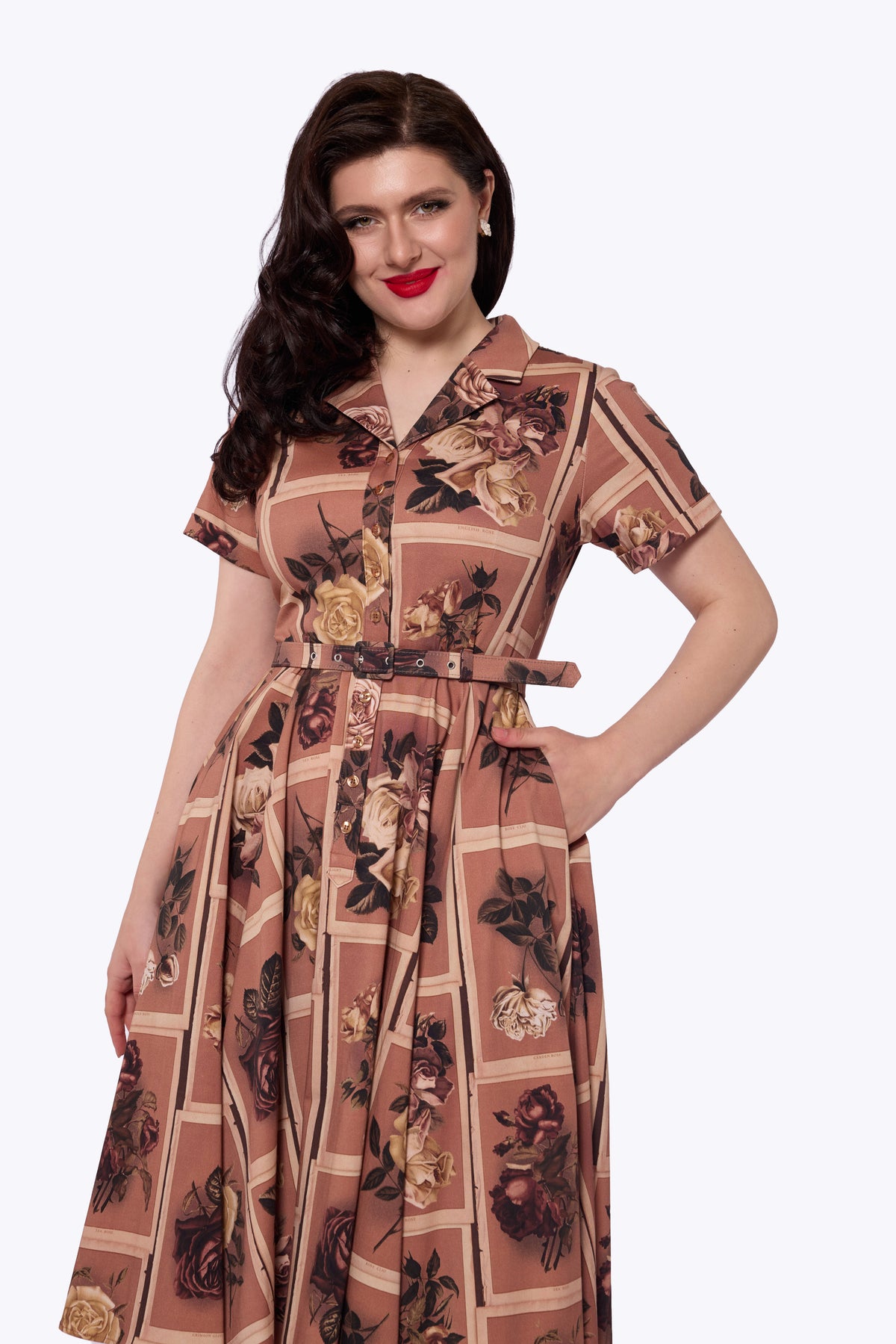 Caterina Framed Roses Mink Swing Dress