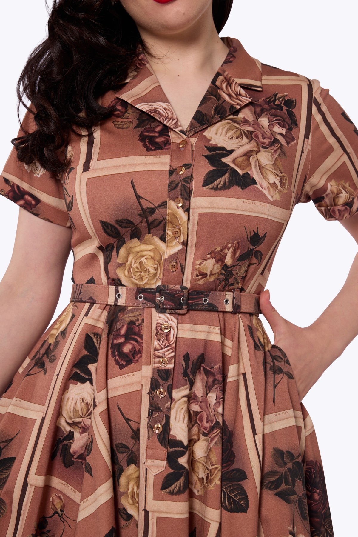 Caterina Framed Roses Mink Swing Dress