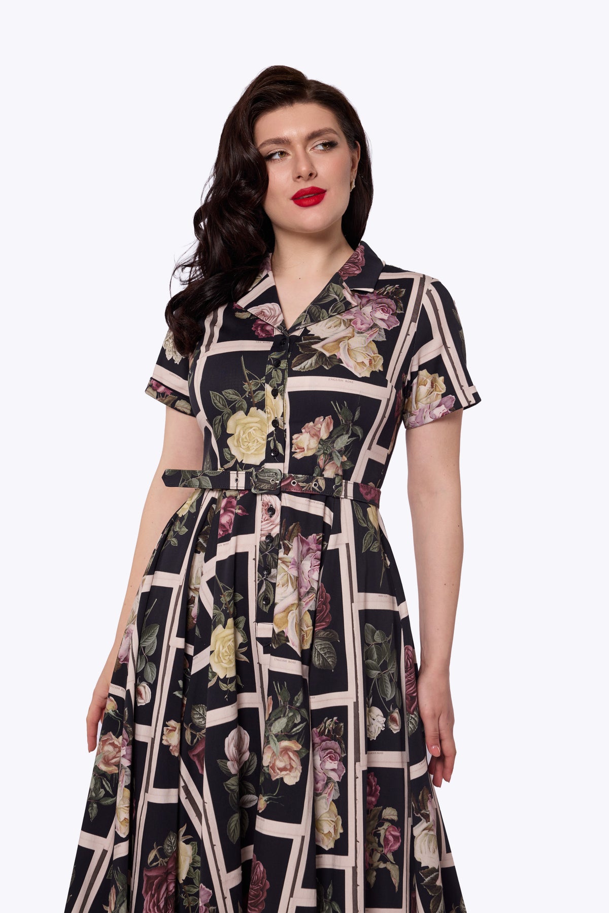 Caterina Framed Roses Black Swing Dress